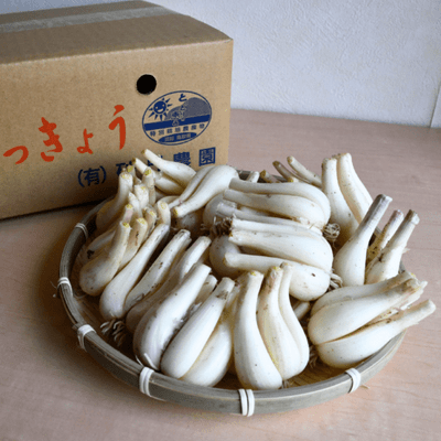 商品写真
