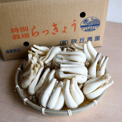 商品写真