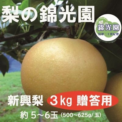 商品写真