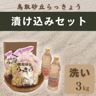 2026年度終了】鳥取砂丘らっきょう 漬け込みセット（冷蔵）【JA鳥取