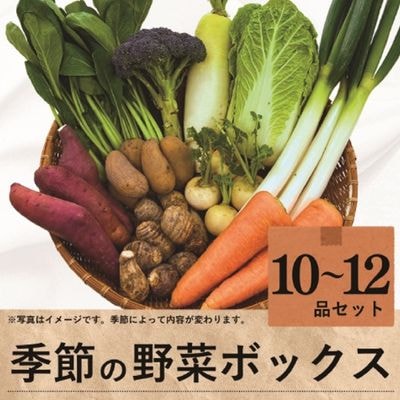 商品写真