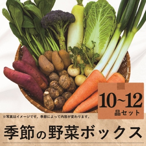 季節の野菜ボックス（冷蔵発送）【JA鳥取いなば】 ｜鳥取の特産品お