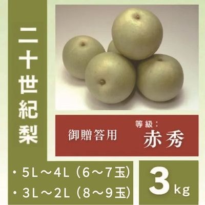 商品写真
