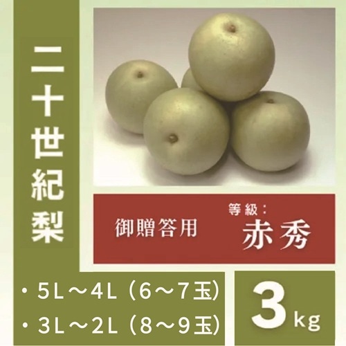 2026年度終了】二十世紀梨 贈答用（赤秀） 3kg箱（サイズはお選び