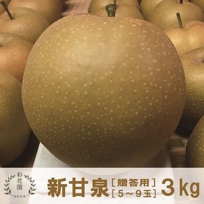 商品写真