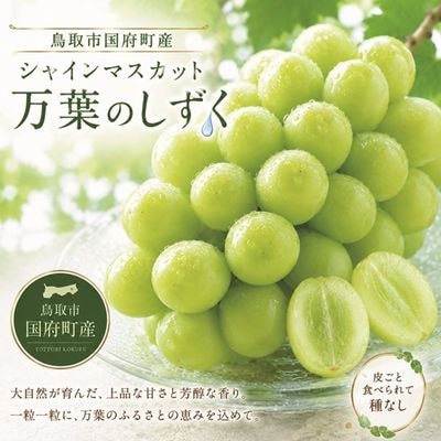 ショップ一覧,さ行,JA鳥取いなば ｜鳥取の特産品お取り寄せ通販｜とっ