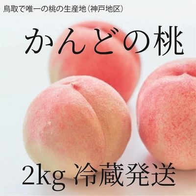 商品写真