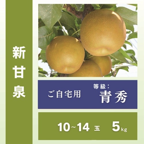 2026年度終了】新甘泉 ご自宅用（青秀）（5kg 10～14玉）【JA鳥取