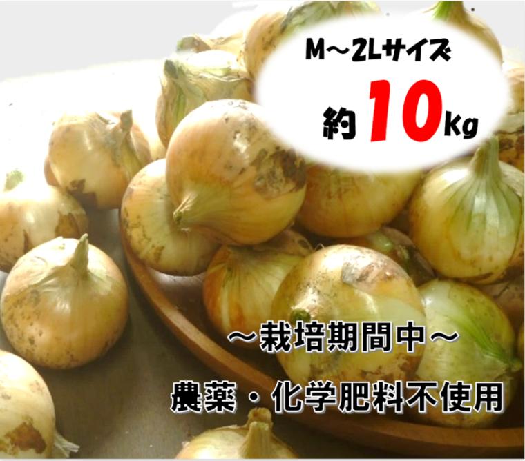 20世紀梨・松葉ガニ・鳥取の特産品お取り寄せ通販｜とっとり市（いち）