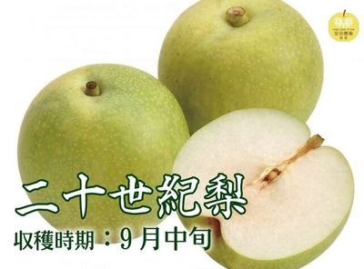商品を探す,果物,梨,二十世紀梨 ｜鳥取の特産品お取り寄せ通販｜とっ
