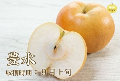商品写真