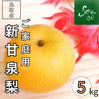 商品写真