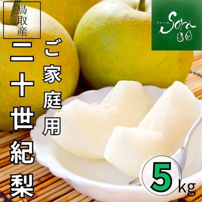 商品写真