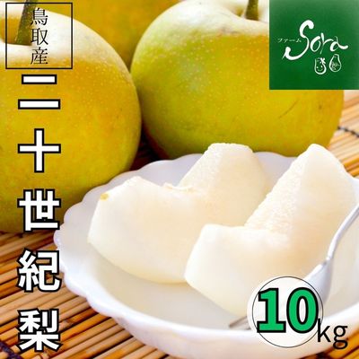商品写真
