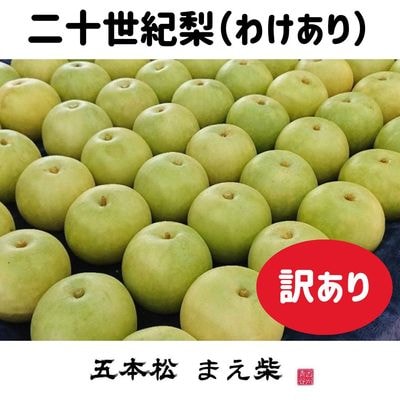 商品写真