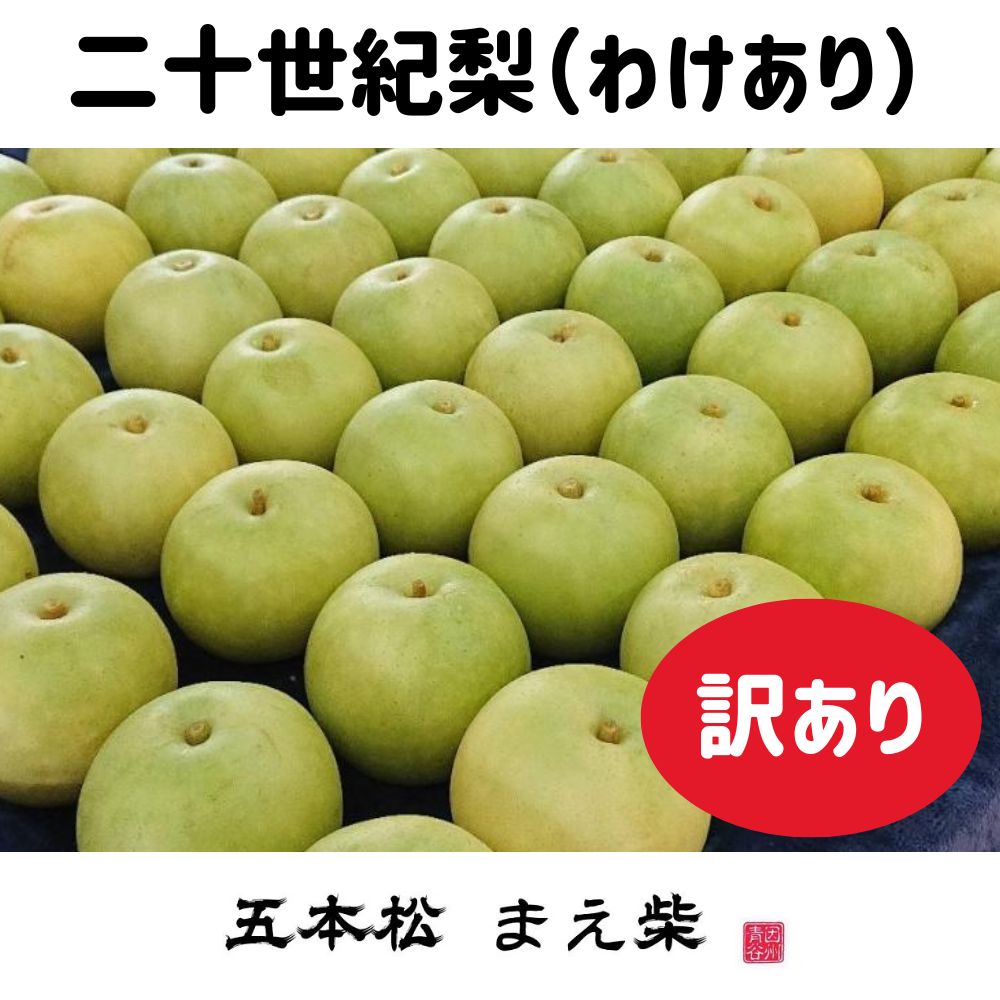 訳あり 二十世紀梨 5kg【五本松 まえ柴】 ｜鳥取の特産品お取り寄せ