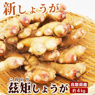 商品写真