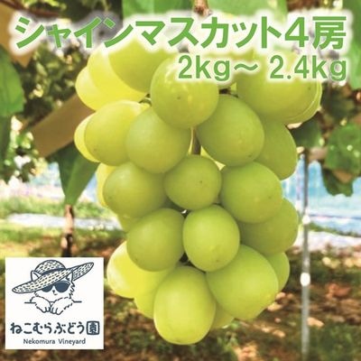 商品写真
