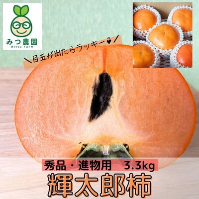 商品写真