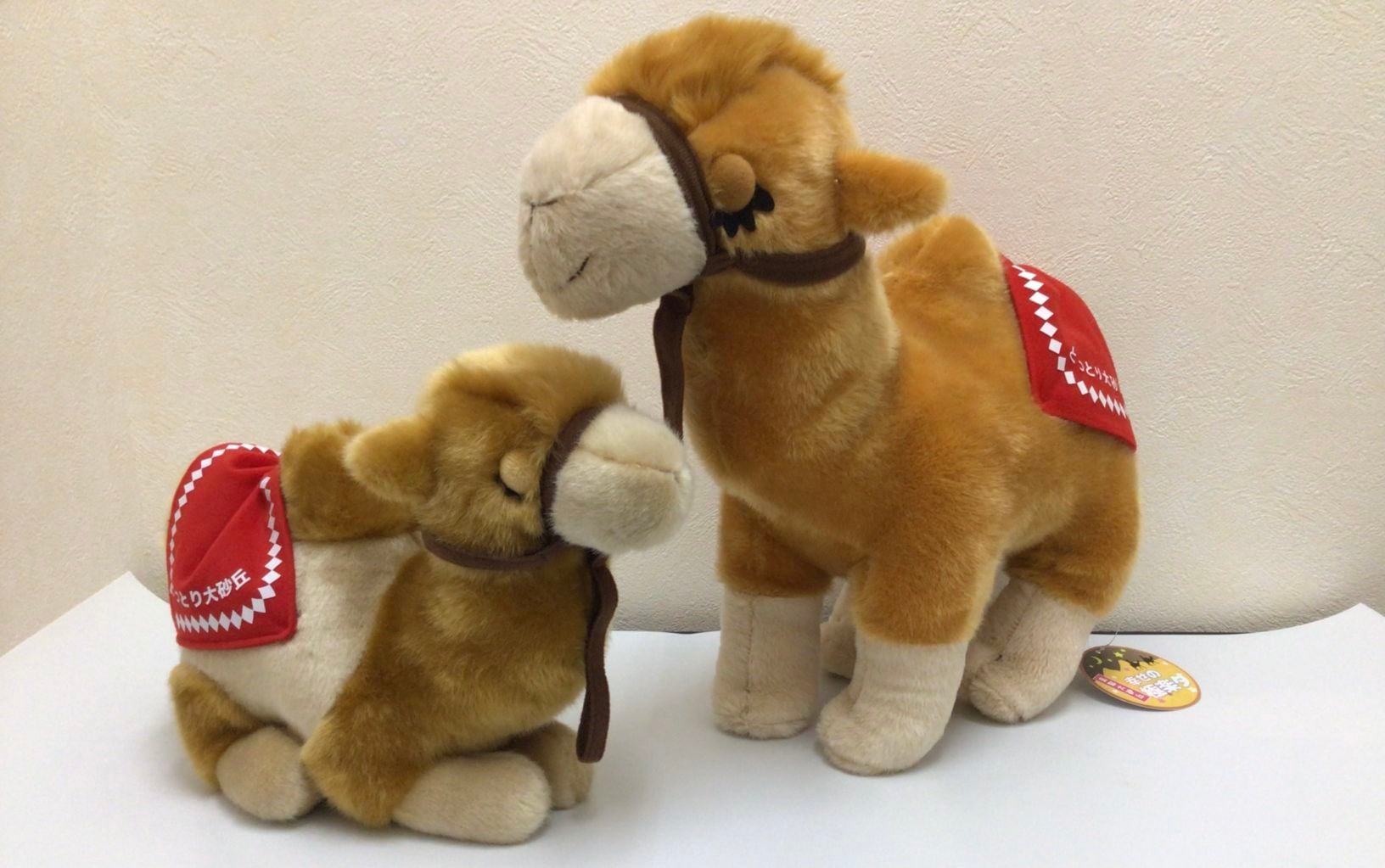 幸せの極楽ダ（らくだのぬいぐるみ）親子セット ｜鳥取の特産品お