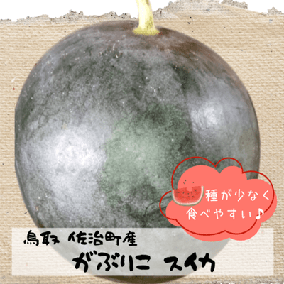 商品写真
