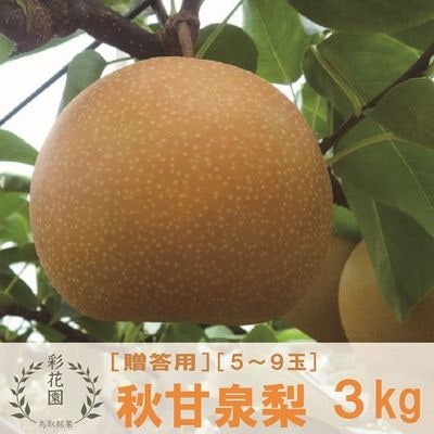 秋甘泉 [贈答用・のし可] 3kg【彩花園（さいかえん）】 ｜鳥取の特産品