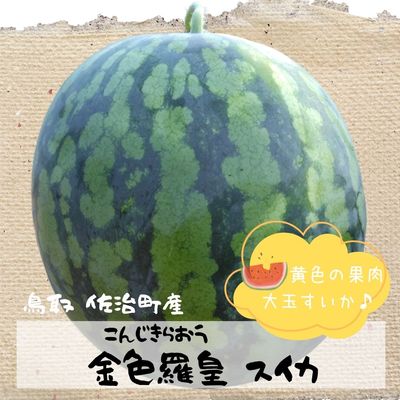 商品写真