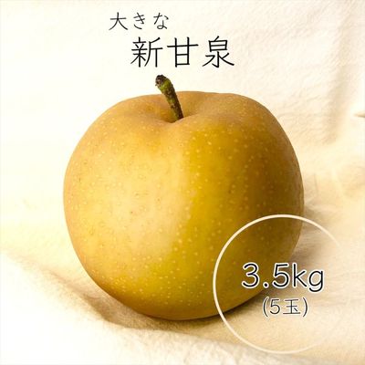 商品を探す,果物,梨,新甘泉 ｜鳥取の特産品お取り寄せ通販｜とっとり市