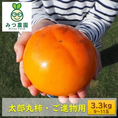 商品写真