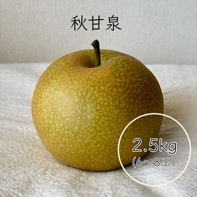 商品写真