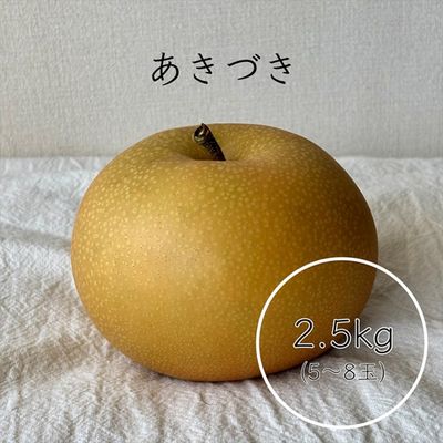 商品写真