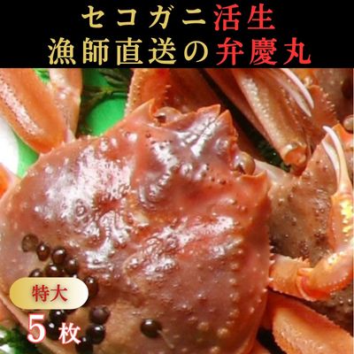 商品写真