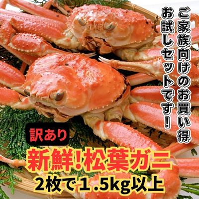 商品写真