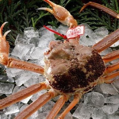 商品写真