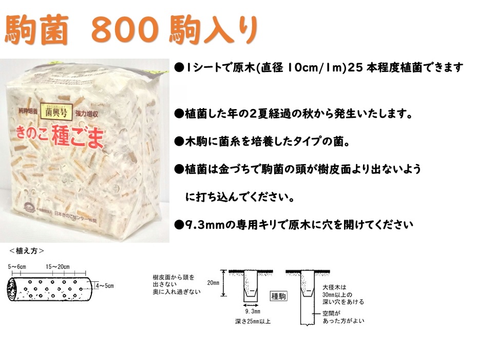 しいたけ aa75483cc3ef39357afbf40645976b