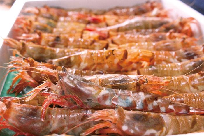 冷蔵】厳選高級えび もさえび400g【鳥取のうまいもの市場】 ｜鳥取の