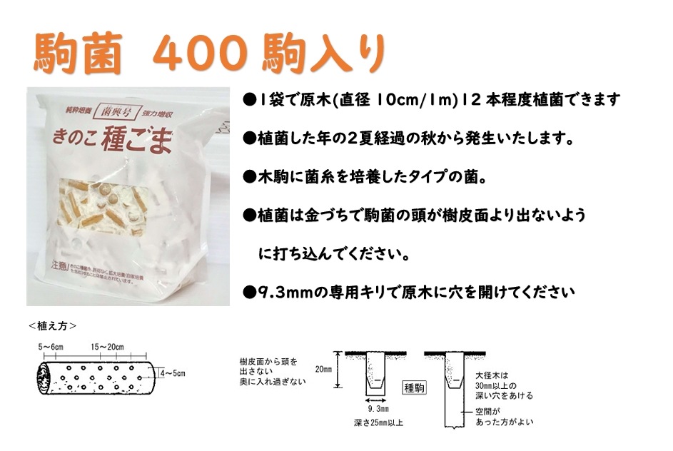 しいたけ種菌 菌興115号 駒菌（400駒）【きのこのお店 しいたけ本舗