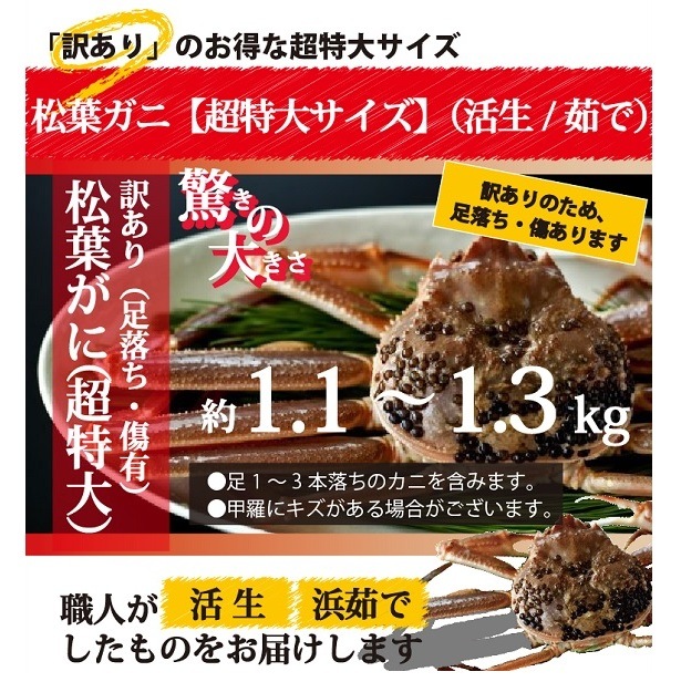 訳あり☆ お得な松葉ガニ（ 超特大サイズ 1.1kg - 1.3kg）【生／茹で