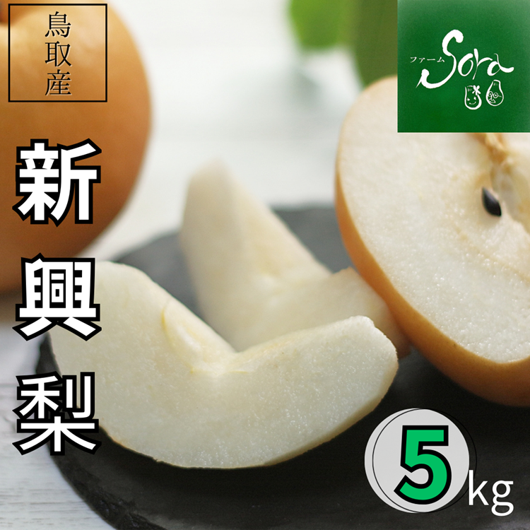 【鳳梨出品】 2025年度終了】新興梨 秀品 5kg（9～12玉）【 ファーム SORA