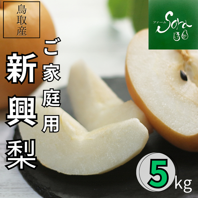 2026年受付終了】新興梨 ご家庭用 5kg（9～12玉）【ファーム SORA