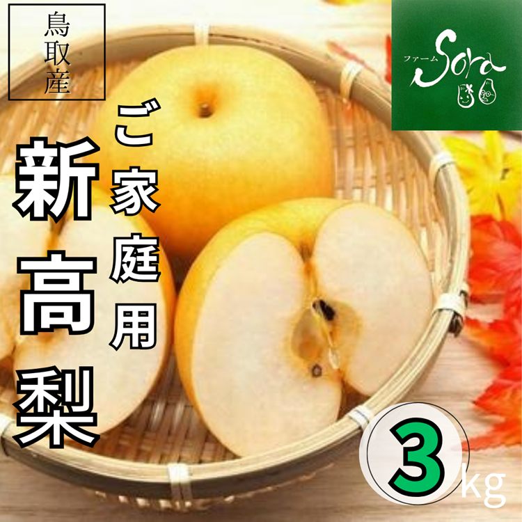 新高梨 ご家庭用3kg（5～6玉）【 ファーム SORA 】 ｜鳥取の特産