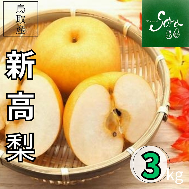 【2025年度終了】新高梨 秀品 3kg(5~6玉)【ファーム SORA】 |鳥取の特産品お取り寄せ通販|とっとり市(いち)