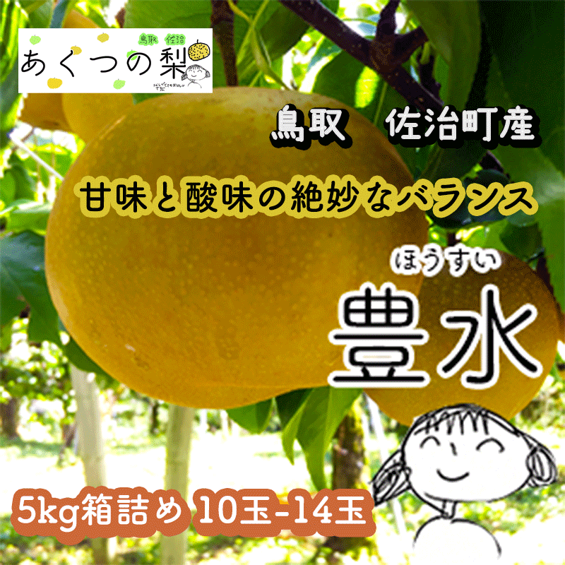 あくつの梨】豊水(佐治町産) 5kg箱詰め ｜鳥取の特産品お取り寄せ通販