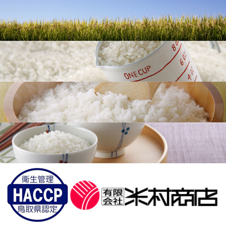 新米』令和8年産 鳥取県産無洗米星空舞3kg【米村商店】(無洗米