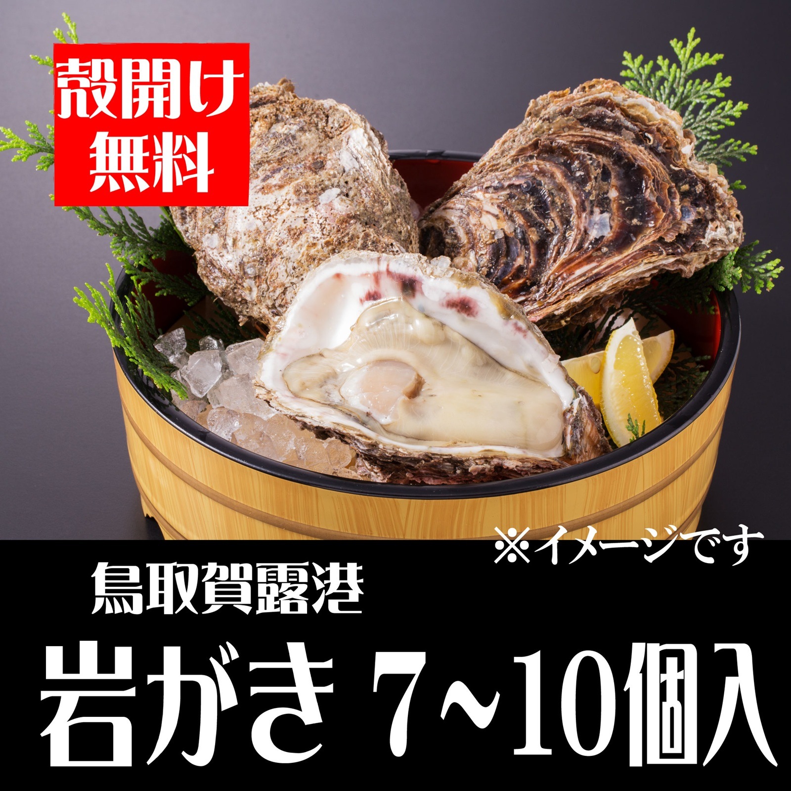 産地直送】鳥取賀露港 天然岩がき 7～10個セット【かねまさ・浜下商店