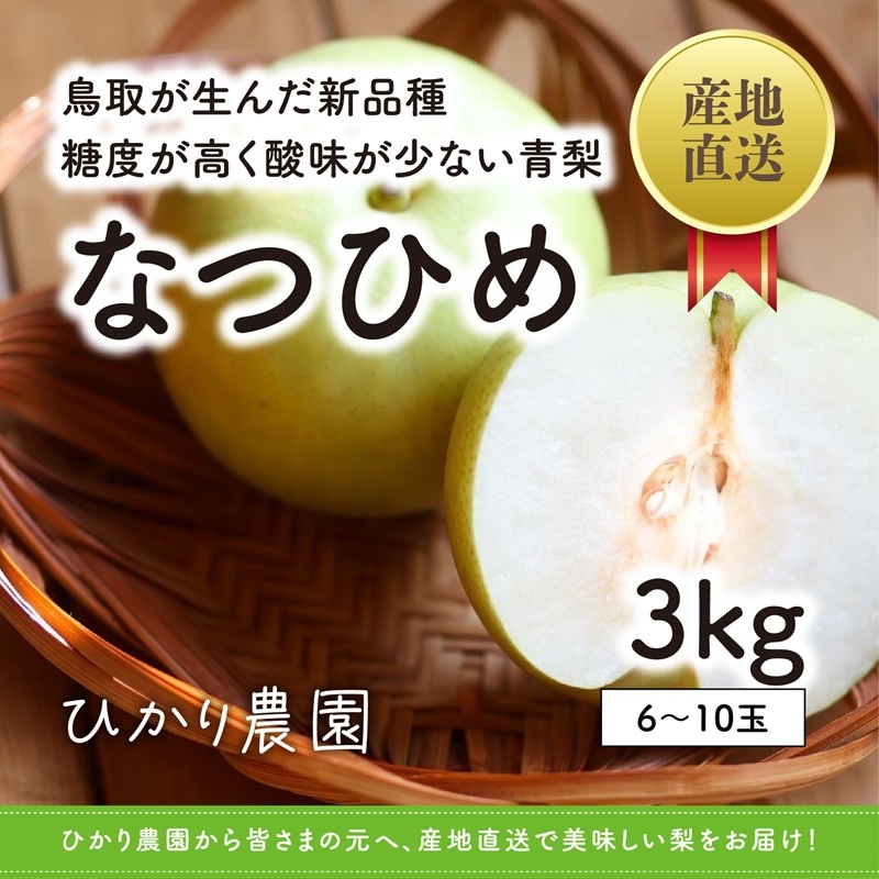 【コーヒー】鳥取県産 なつひめ 梨 2kg+3kg 秀品 秀品・贈答用 なつひめ梨 3kg（6-10玉）【ひかり農園】 ｜鳥取の特産