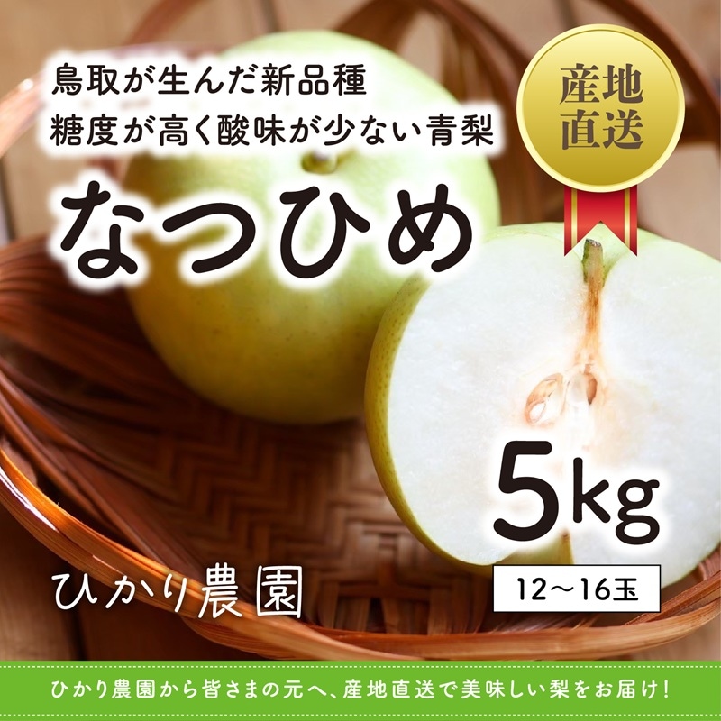 秀品・贈答用 なつひめ梨 5kg（12-16玉）【ひかり農園】 ｜鳥取の特産