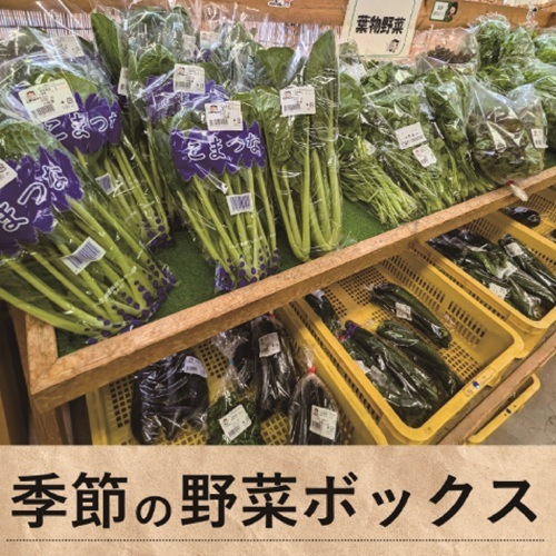 季節の野菜ボックス（冷蔵発送）【JA鳥取いなば】 ｜鳥取の特産品お