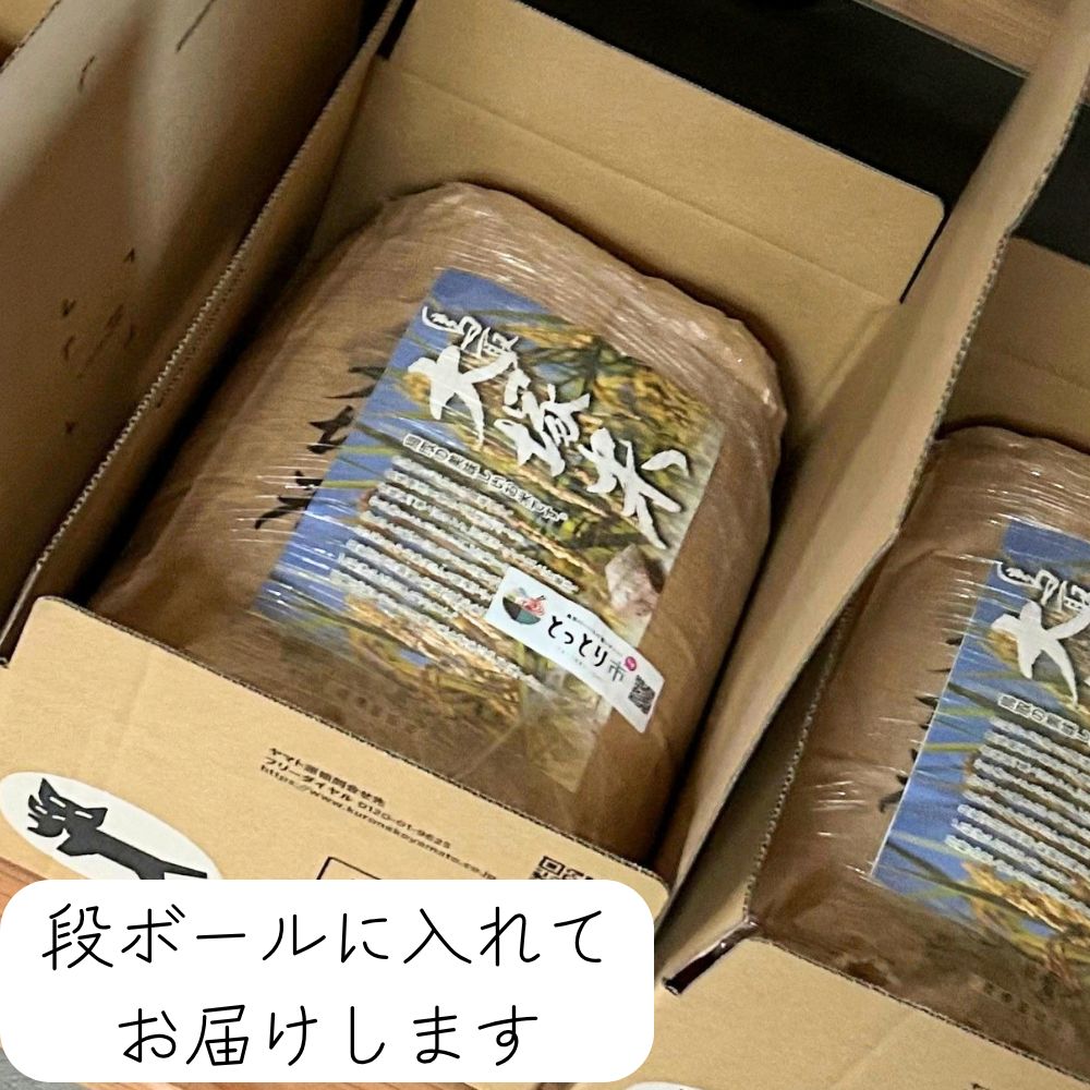 令和7年産 山岡さんの鳥取大塚米 コシヒカリ 2kg ｜鳥取の特産品お