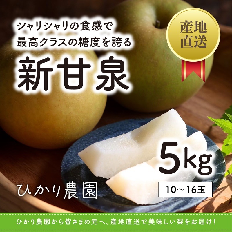 梨　新甘泉　10kg リピーター 2026年数量限定】秀品 新甘泉 5kg（10-16玉）【ひかり農園】 ｜鳥取の